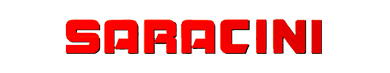 Web Agency - Logo Cliente - saracini